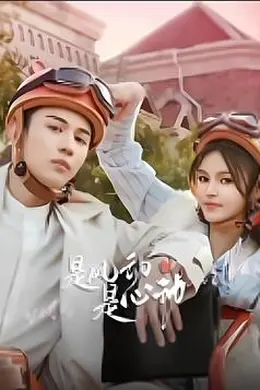 是风动、是心动封面图