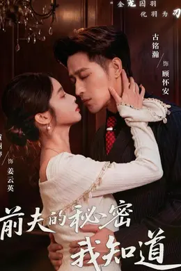 前夫的秘密我知道海报图片