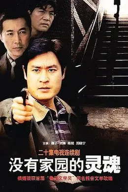 没有家园的灵魂封面图