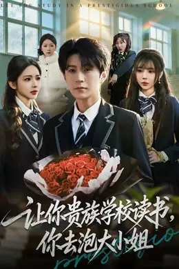 让你贵族学校读书，你去泡大小姐海报图片