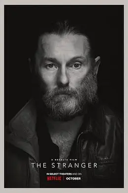 双面陌生人封面图