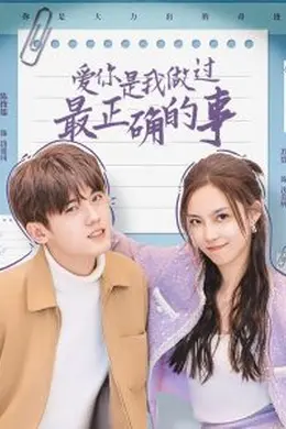 爱你是我做过最正确的事海报图片