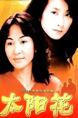 太阳花2002封面图