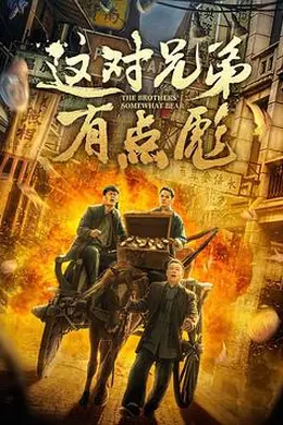 这对兄弟有点彪封面图
