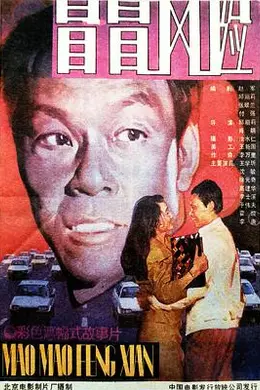 冒冒风险封面图