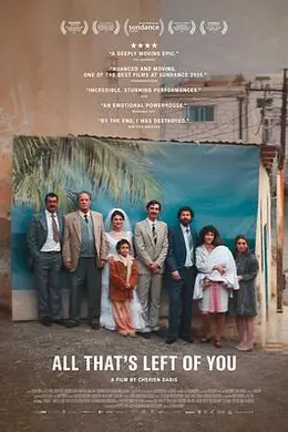 唯有追忆海报图片