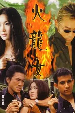 火龙女封面图