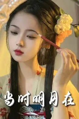 明月照南星海报图片