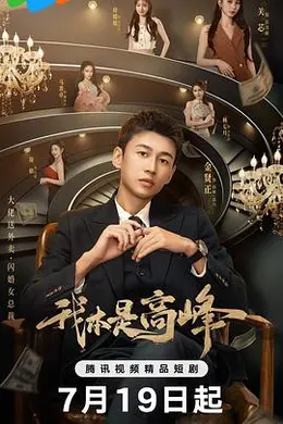 我本是高峰封面图