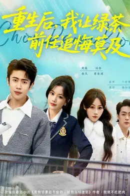 重生后，我让绿茶前任追悔莫及海报图片