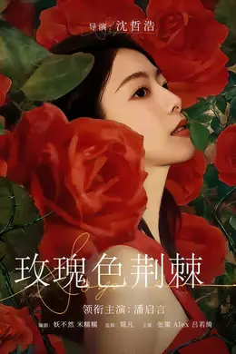 玫瑰色荆棘封面图