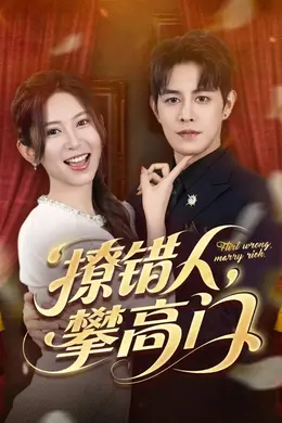撩错人攀高门海报图片