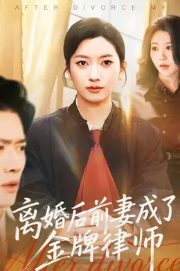 离婚后前妻成了金牌律师海报图片