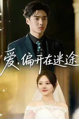 爱，偏开在迷途封面图