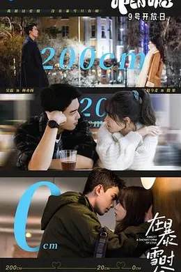 在暴雪时分封面图