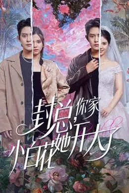 封总，你家小白花她开大了封面图