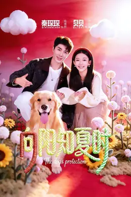 向阳知夏时封面图