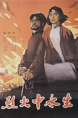 烈火中永生封面图