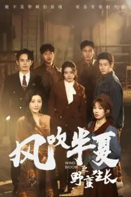 风吹半夏之野蛮生长海报图片