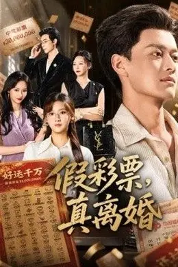 假彩票，真离婚海报图片