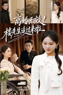 离婚无效！楼先生追过来啦封面图