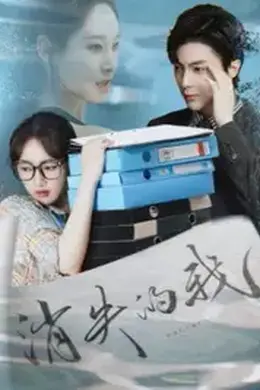 消失的我海报图片