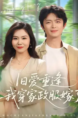 旧爱重逢我穿家政服嫁了海报图片