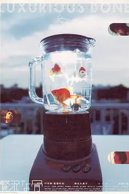 奢侈的骨封面图