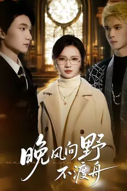 晚风向野不渡舟封面图