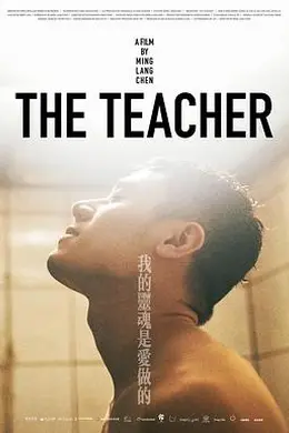 我的灵魂是爱做的封面图