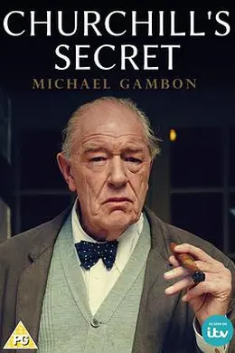 丘吉尔的秘密封面图