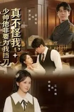 真不怪我，少帅他非要为我挡刀海报图片