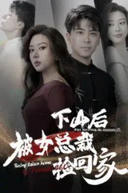 下山后被美女总裁捡回家海报图片
