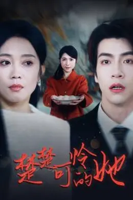 楚楚可怜的她海报图片