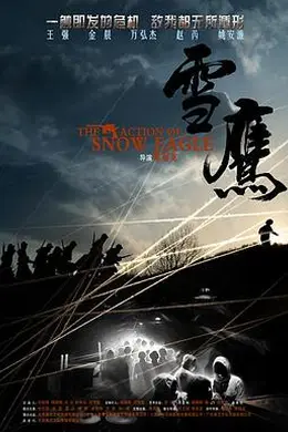 雪鹰封面图