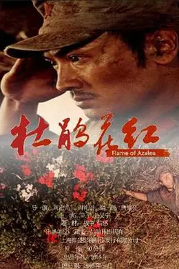 杜鹃花红封面图