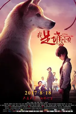 我是谁的宝贝封面图