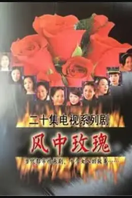 风中玫瑰封面图