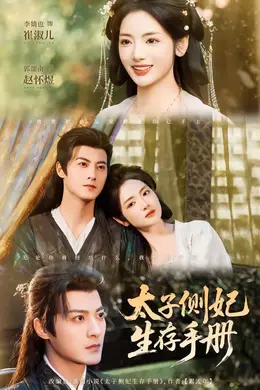 太子侧妃生存手册海报图片