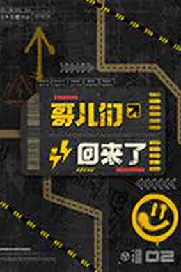 哥儿们回来了封面图