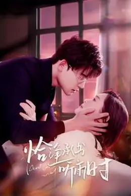 恰逢承书听雨时海报图片