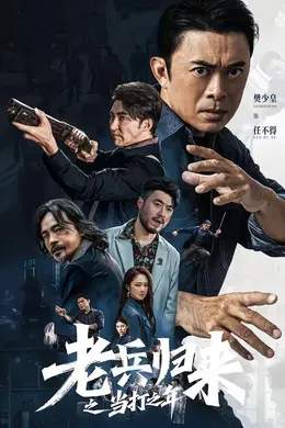 老兵归来之当打之年海报图片