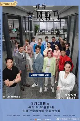 许你春风野马封面图