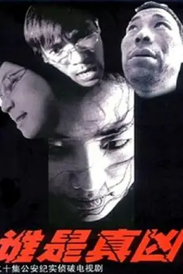 谁是真凶封面图