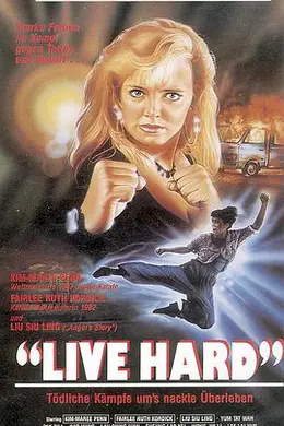 铁胆雄风(国语）封面图