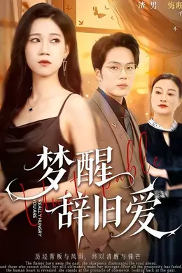 梦醒辞旧爱海报图片