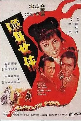 隐身女侠封面图