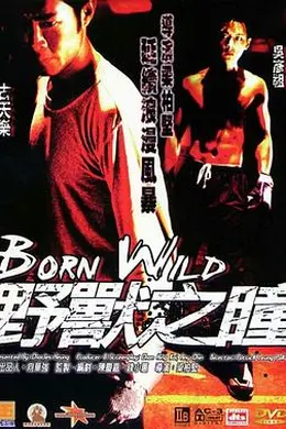 野兽之瞳封面图