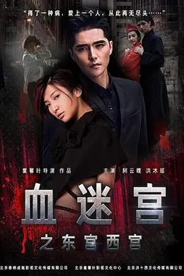 血迷宫之东宫西宫封面图