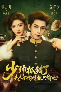 少帅抓错了，夫人不偷情报只偷心封面图